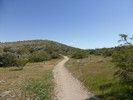 photo thumbnail #10
