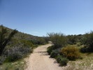 photo thumbnail #12