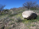 photo thumbnail #2