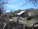 photo thumbnail #9