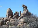 photo thumbnail #10