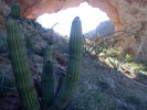 photo thumbnail #6