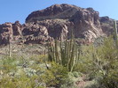 photo thumbnail #3