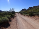 photo thumbnail #7
