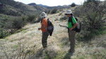 photo thumbnail #7