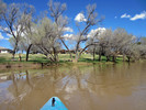 photo thumbnail #2