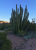photo thumbnail #1