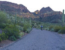 photo thumbnail #2