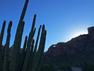 photo thumbnail #3