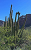 photo thumbnail #15