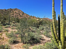 photo thumbnail #9