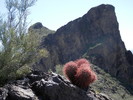 photo thumbnail #1