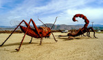 photo thumbnail #6