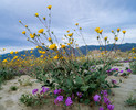 photo thumbnail #13