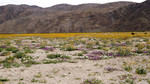 photo thumbnail #15