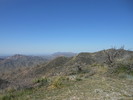 photo thumbnail #1
