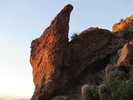photo thumbnail #5