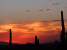 photo thumbnail #14