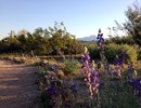 photo thumbnail #1