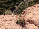 photo thumbnail #14