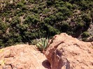 photo thumbnail #15