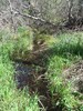 photo thumbnail #14