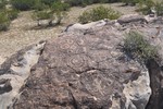 photo thumbnail #5