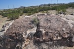 photo thumbnail #7
