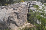 photo thumbnail #10