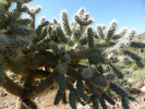 photo thumbnail #2