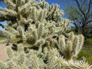 photo thumbnail #4