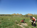 photo thumbnail #5