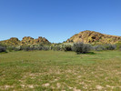photo thumbnail #6
