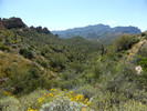 photo thumbnail #11