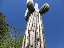 photo thumbnail #12