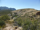 photo thumbnail #14