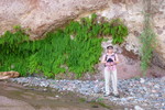 photo thumbnail #8