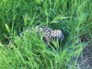 photo thumbnail #1