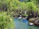 photo thumbnail #4