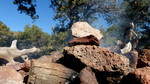 photo thumbnail #6