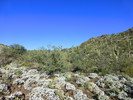 photo thumbnail #4