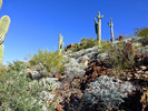 photo thumbnail #5