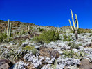 photo thumbnail #13