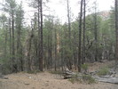 photo thumbnail #1