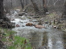 photo thumbnail #3