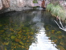 photo thumbnail #10