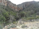 photo thumbnail #14