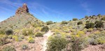 photo thumbnail #3