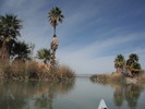2015-03-15 :3: Topock Marsh Big Loop :: azbackpackr