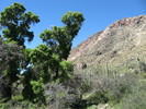 photo thumbnail #4
